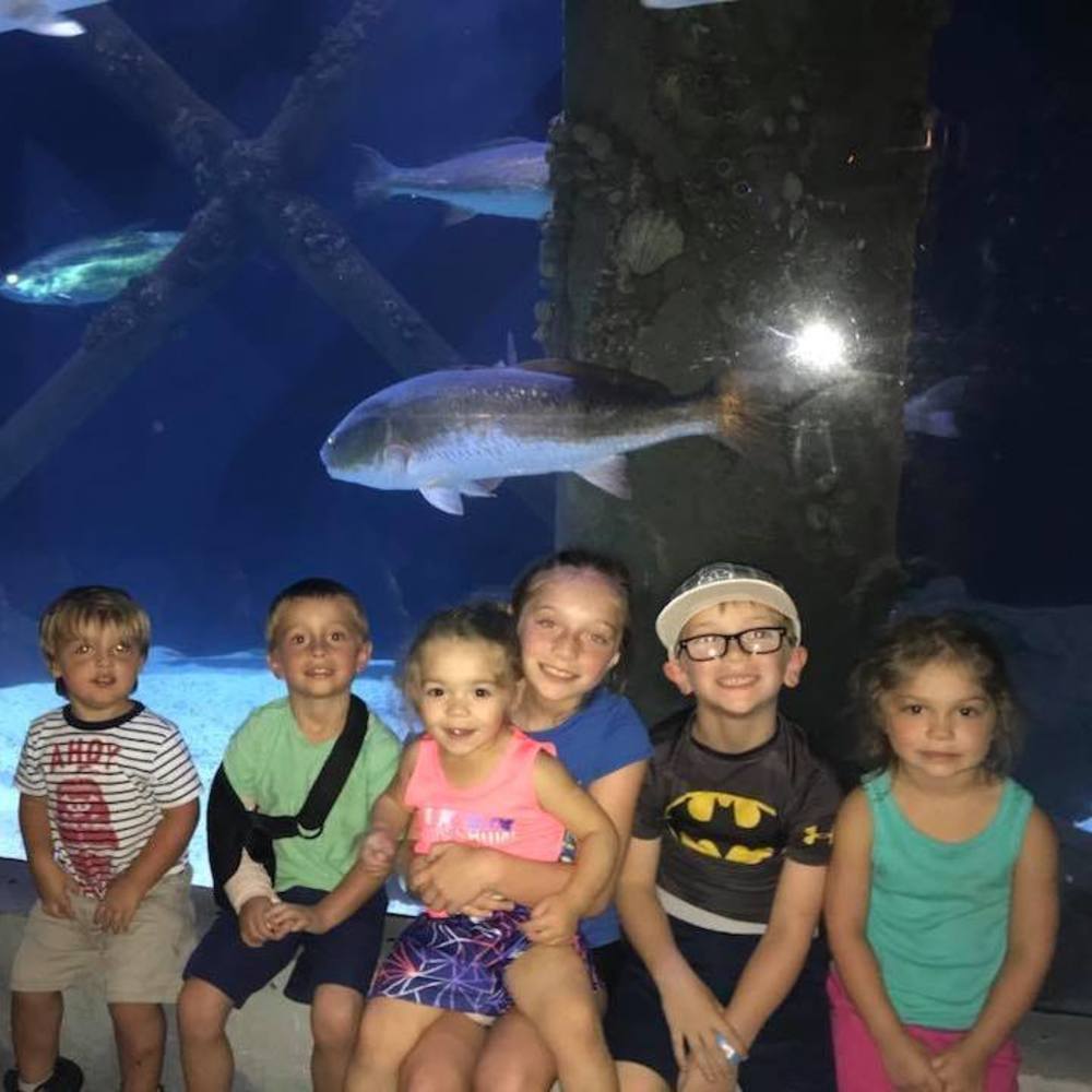 Meet your Posher, Holden